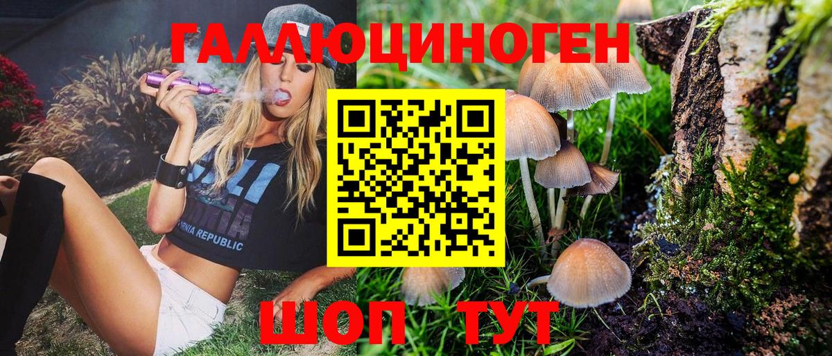 Псилоцибиновые грибы Psilocybine cubensis Мыски